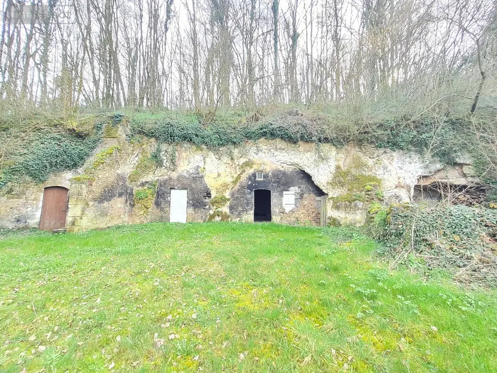 Divers a vendre Saint-Rimay 41800 Loir-et-Cher 41 87 m2 4 pièces 19800 euros 41059-1013 001