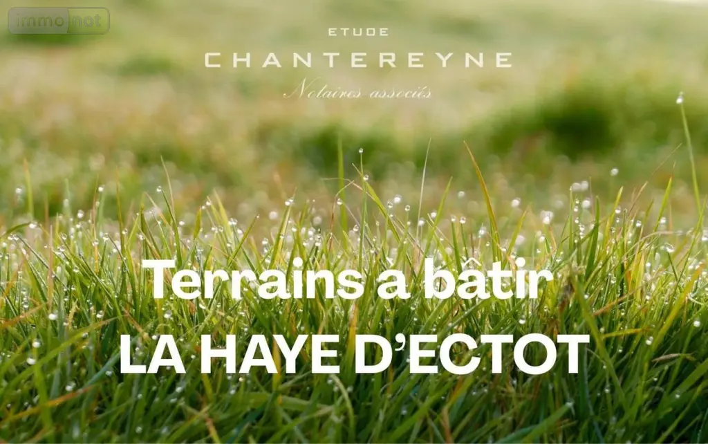 Terrain a batir a vendre La Haye-d'Ectot 50270 Manche 50 51129 euros 50108-4667 001