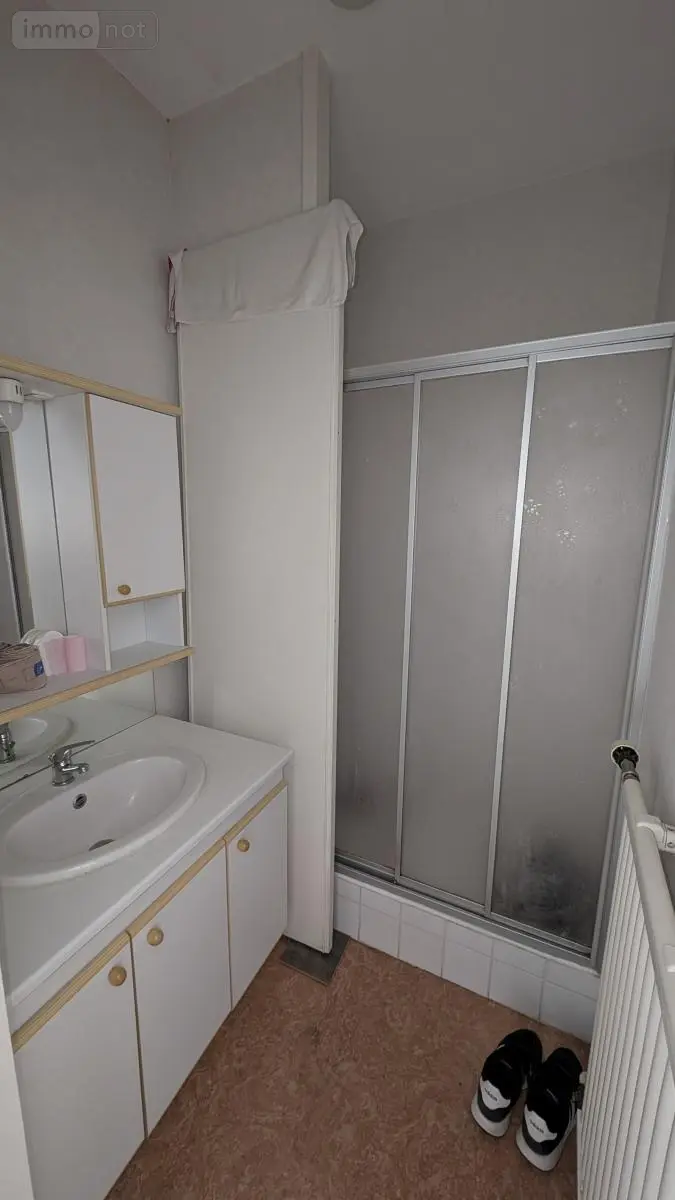 Immeuble de rapport a vendre Vichy 03200 Allier 03 588 m2 398240 euros 03019-167 023
