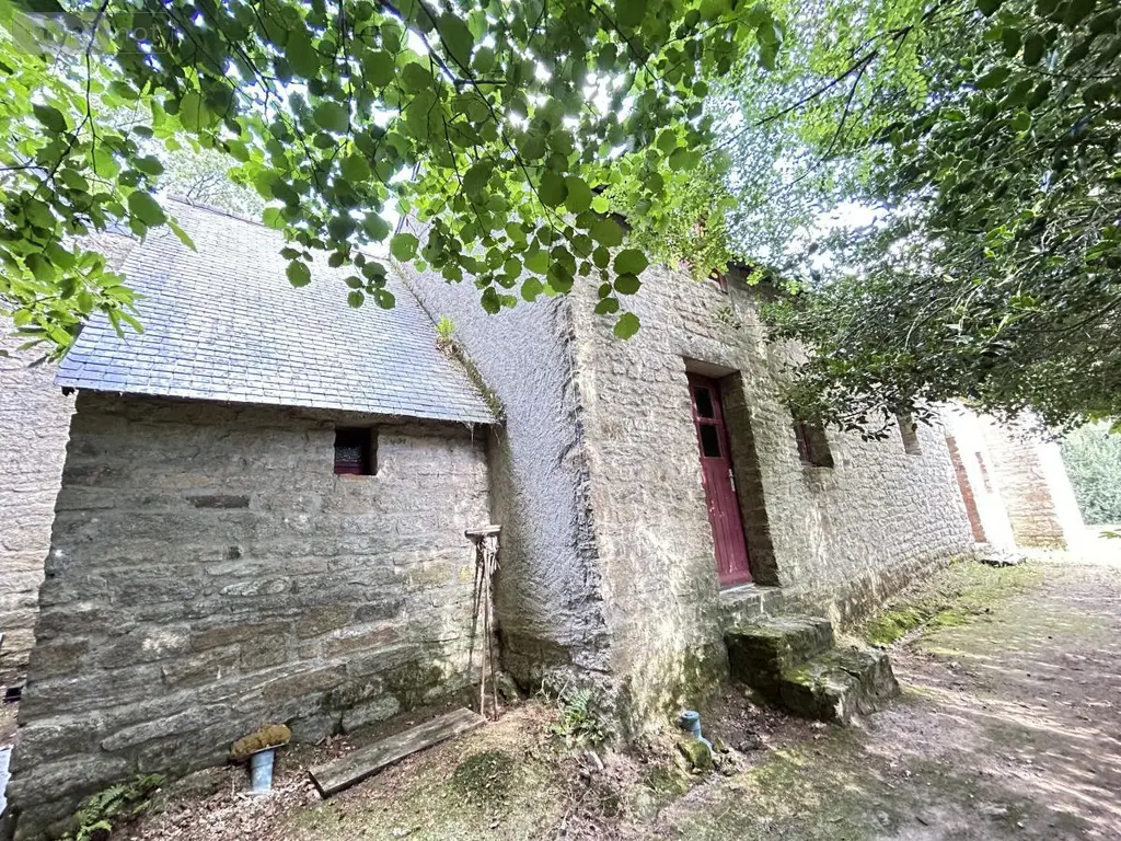 Maison a vendre Lizio 56460 Morbihan 56 260 m2 201900 euros 56046-1245 040