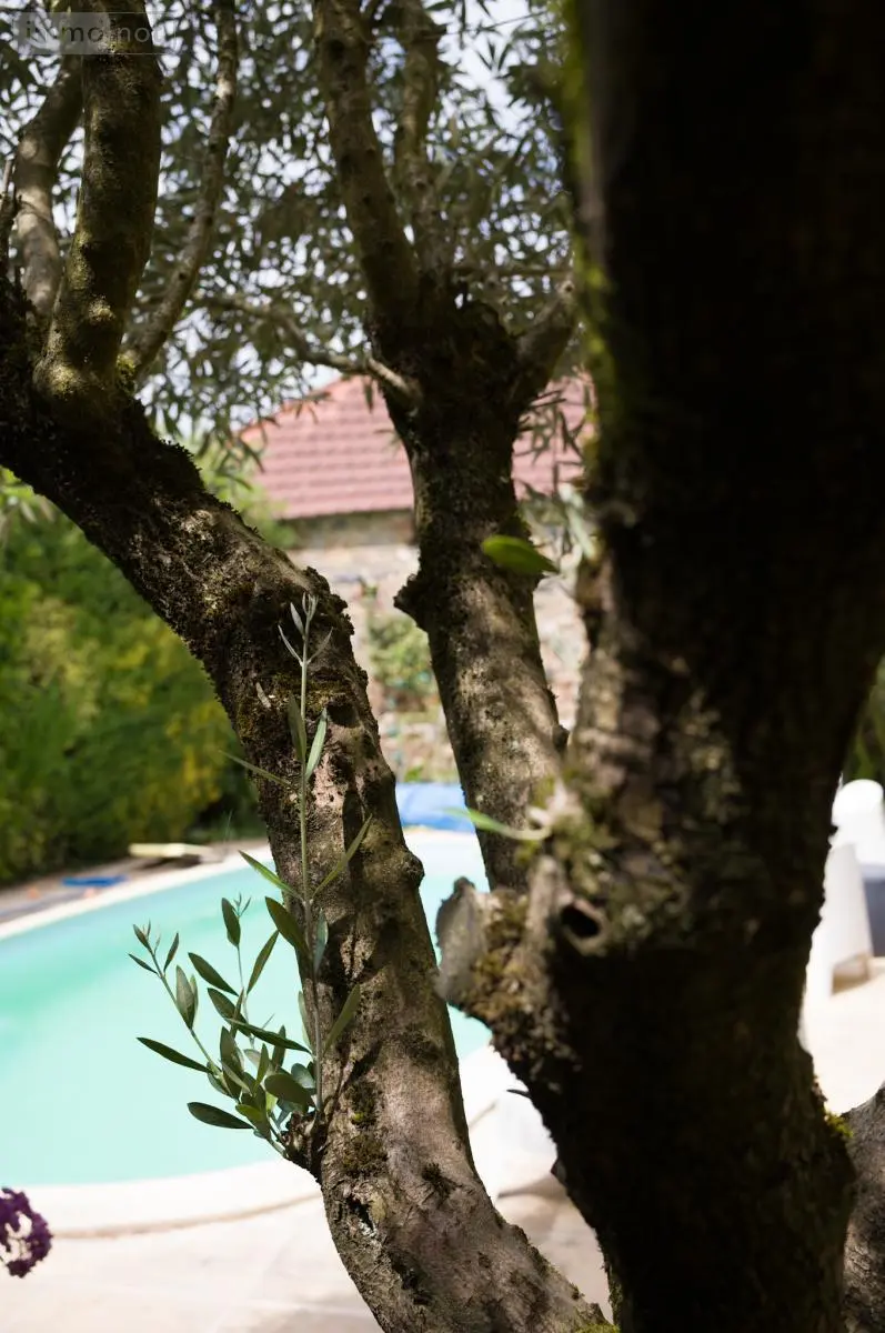 Maison a vendre Cholet 49300 Maine-et-Loire 49 390 m2 14 pièces 900000 euros 49055-117 011