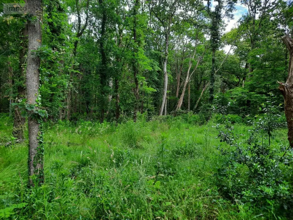 Terrain a batir a vendre Soullans 85300 Vendée 85 106600 euros 85091-5099 005