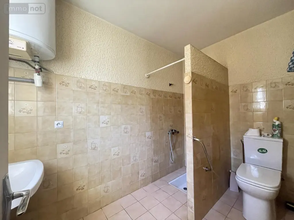Viager maison Paulhan 34230 Hérault 34 138 m2 6 pièces 151400 euros 34074-213 006