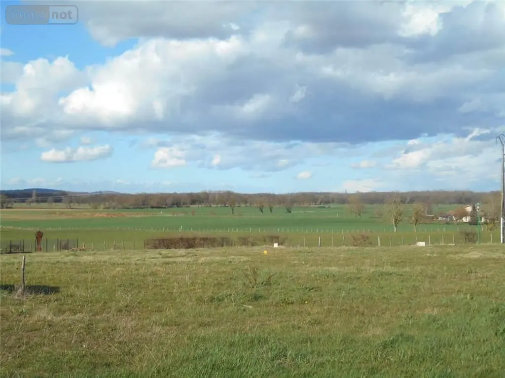 Terrain a batir a vendre Arbigny 01190 Ain 01 44000 euros 01018-408 002