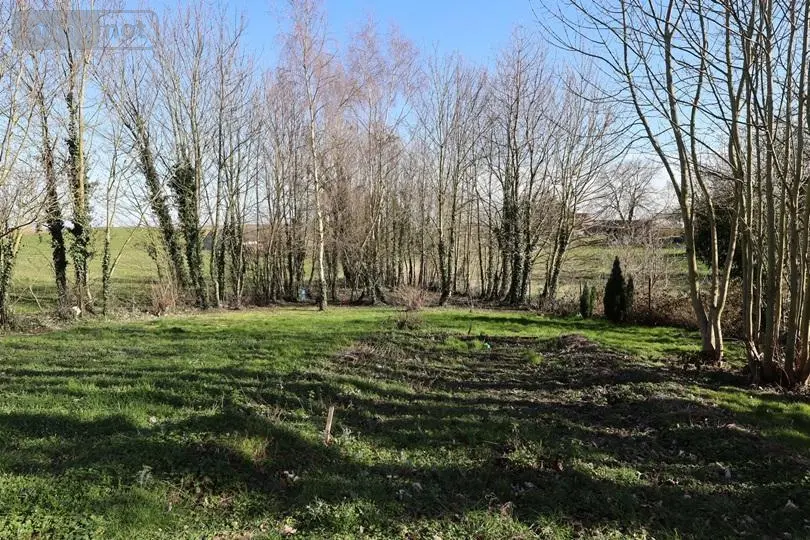 Terrain a batir a vendre Gonnelieu 59231 Nord 59 55500 euros 59085-1561 002