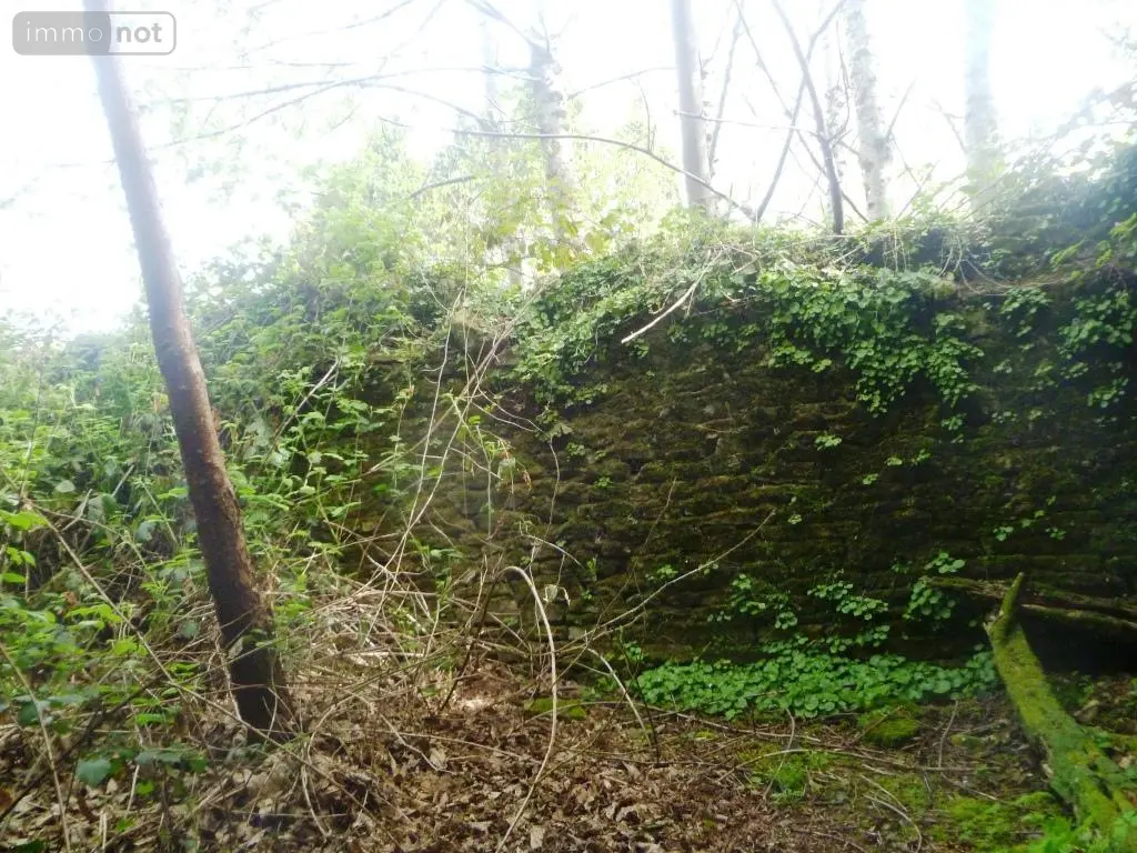 Maison a vendre Ploërdut 56160 Morbihan 56 100 m2 2 pièces 49550 euros 56075-2002 013