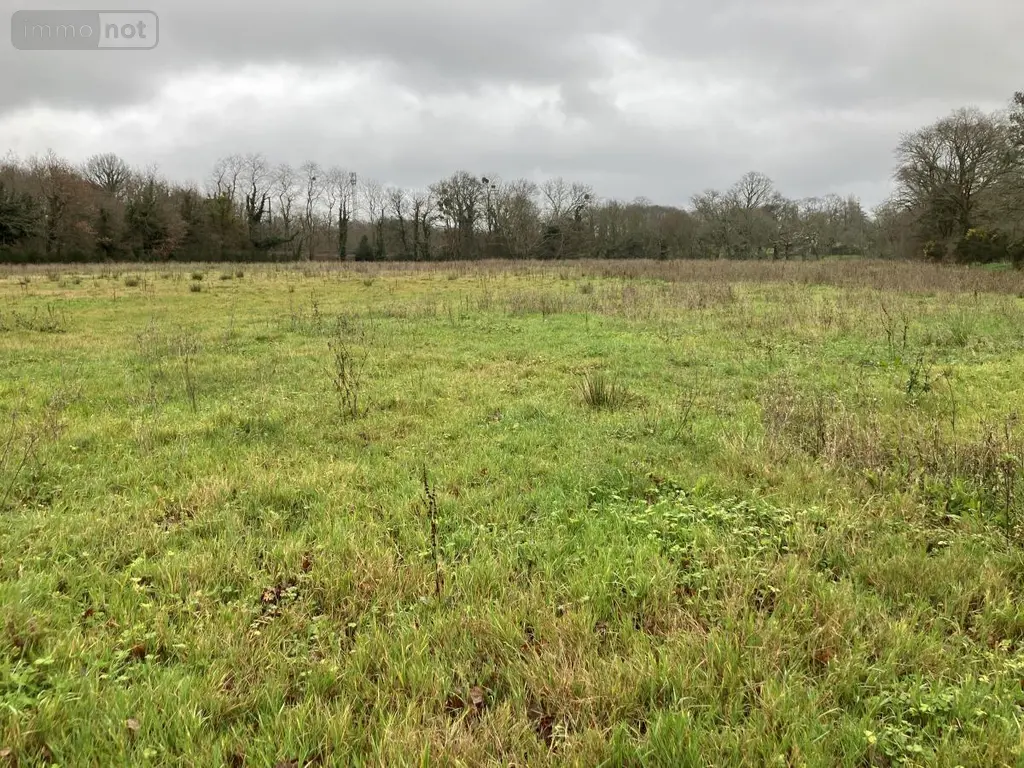 Terrain a batir a vendre Pluneret 56400 Morbihan 56 88000 euros 56023-1336 002