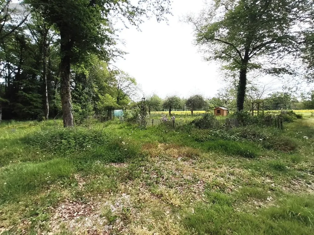 Maison a vendre Missillac 44780 Loire-Atlantique 44 129 m2 7 pièces 287375 euros 56014-793 014