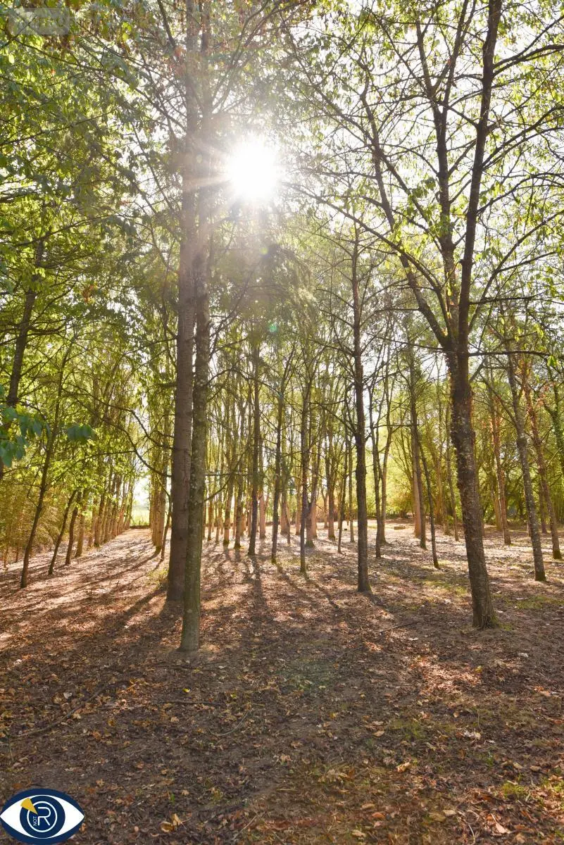 Terrains de loisirs bois etangs a vendre Vaiges 53480 Mayenne 53 69000 euros 53004-1365 003