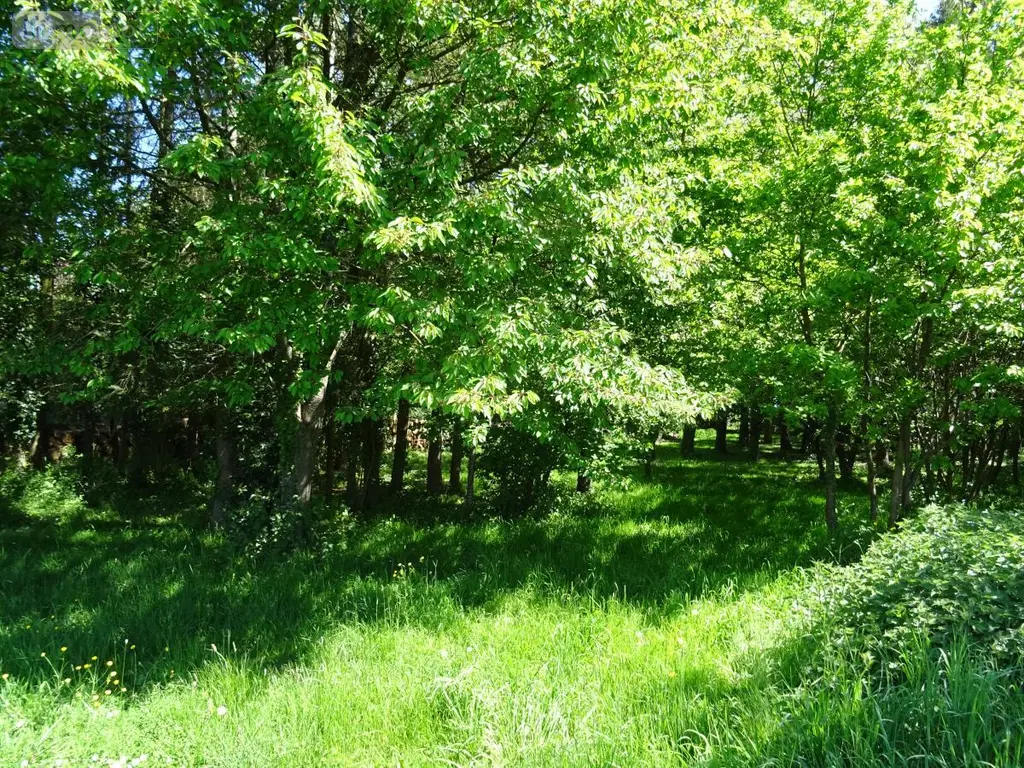 Maison a vendre Maisoncelles-du-Maine 53170 Mayenne 53 232 m2 9 pièces 385000 euros 53079-1415 006