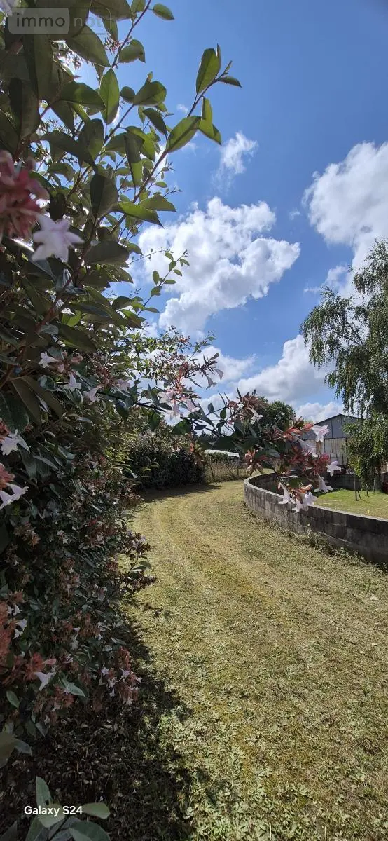 Terrain a batir a vendre Loiré 49440 Maine-et-Loire 49 81200 euros 49095-1542 002
