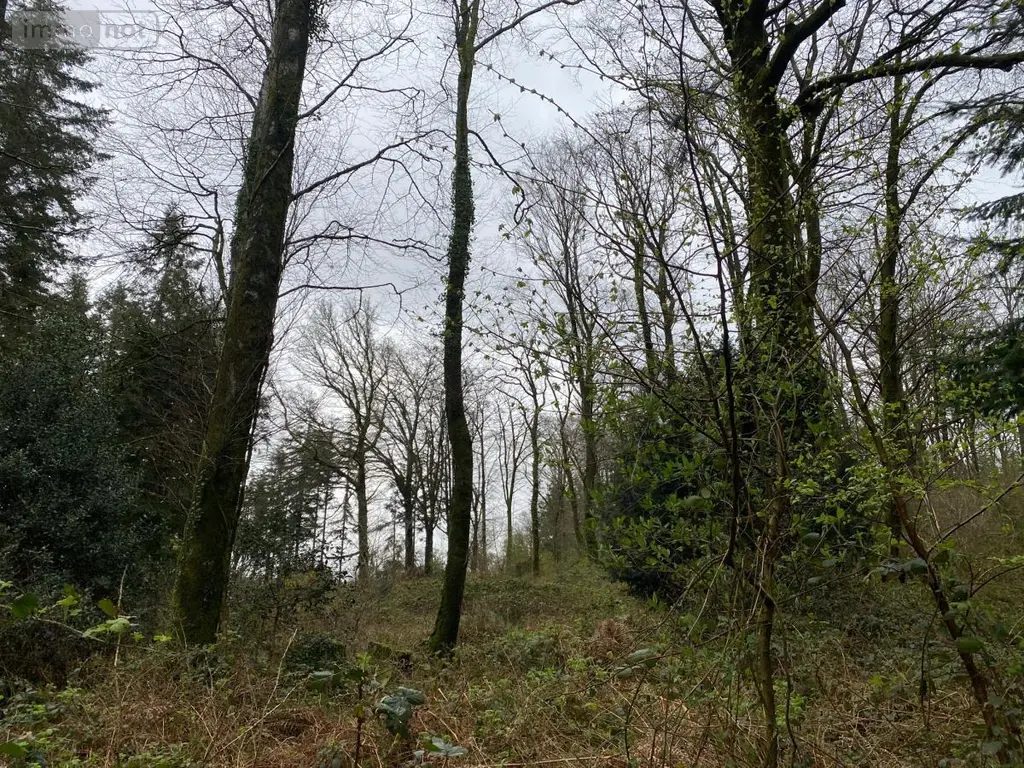 Terrains de loisirs bois etangs a vendre Champ-du-Boult 14380 Calvados 14 56710 euros 14076-5853 005