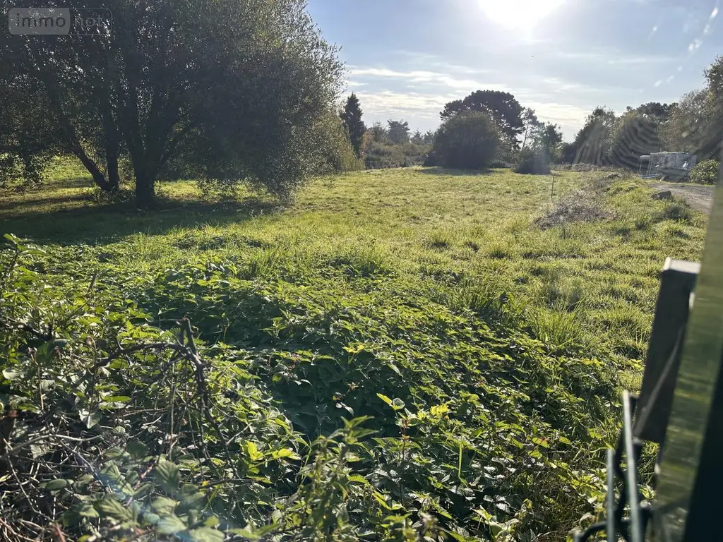 Terrain a batir a vendre Île-d'Arz 56840 Morbihan 56 373540 euros 56003-1351 004