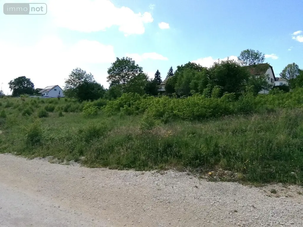 Terrain a batir a vendre Saint-Vit 25410 Doubs 25 75000 euros 25012-948 003