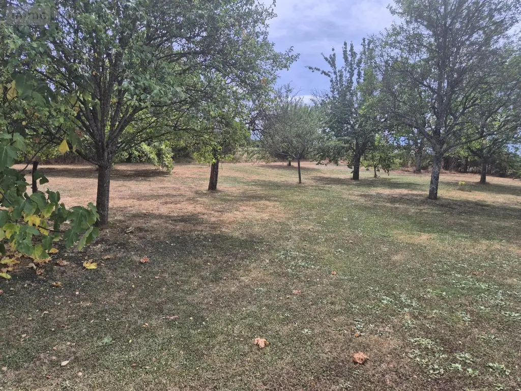 Maison a vendre Bonboillon 70150 Haute-Saône 70 123 m2 6 pièces 230000 euros 25012-958 008
