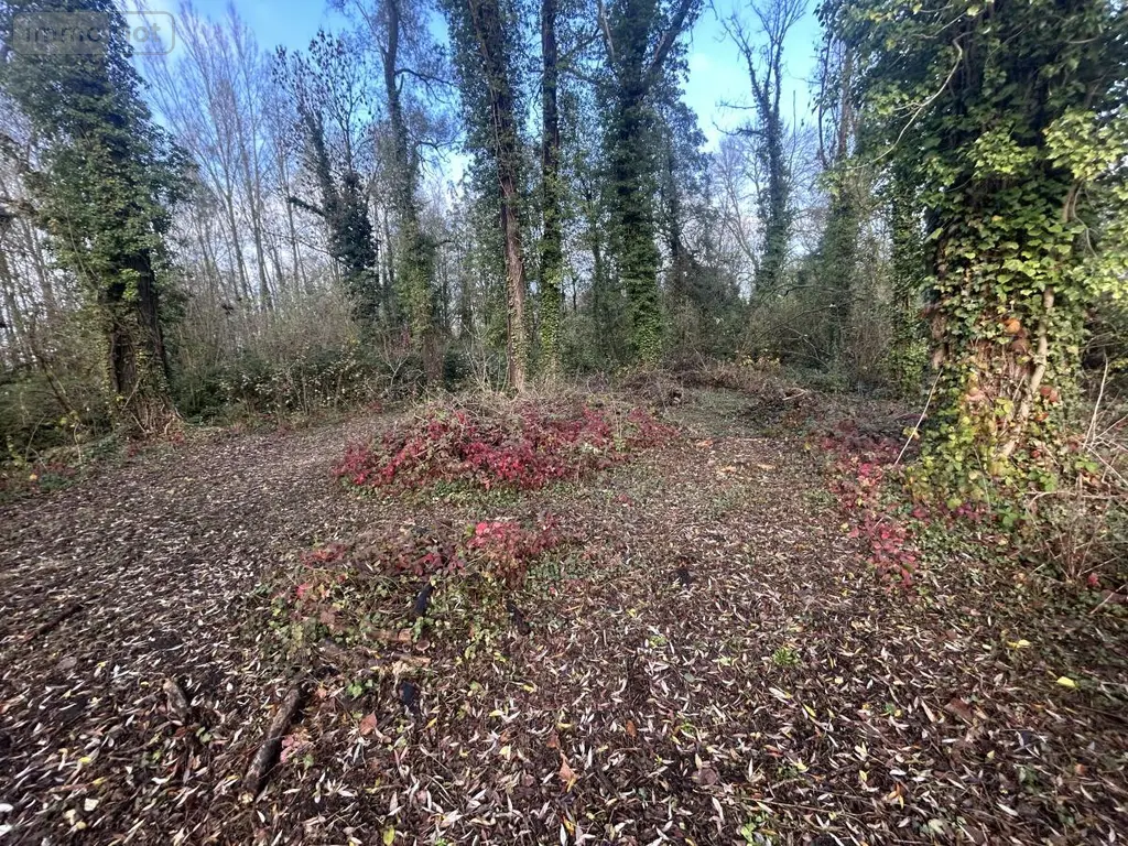 Terrain a batir a vendre Flines-lez-Raches 59148 Nord 59 115280 euros 59083-2581 008