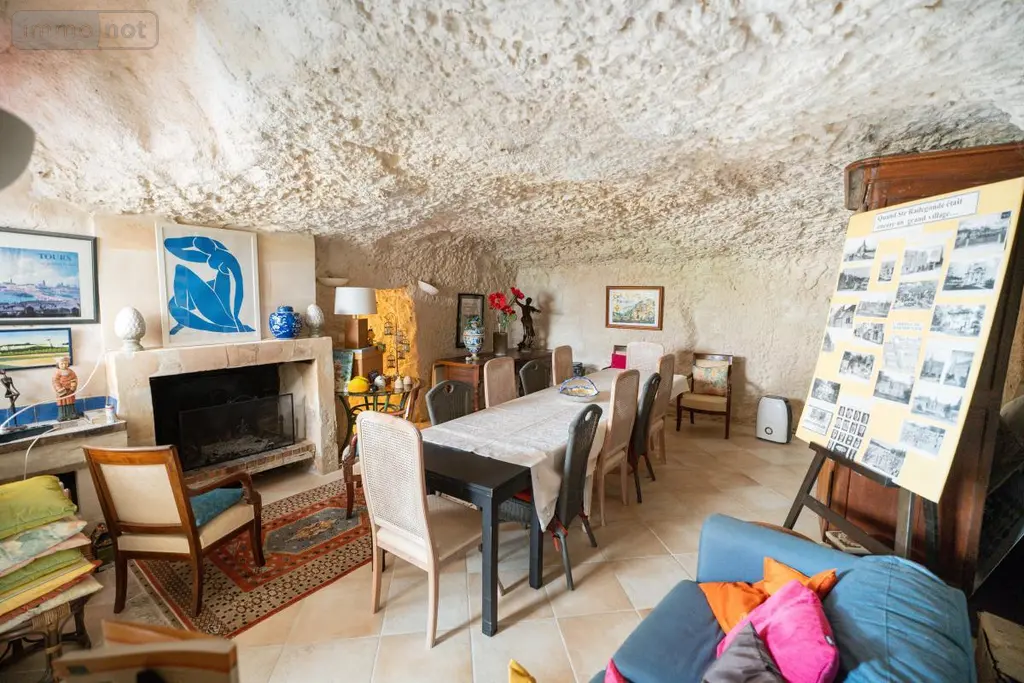 Maison a vendre Tours 37100 Indre-et-Loire 37 225 m2 7 pièces 850000 euros 37007-2778 021