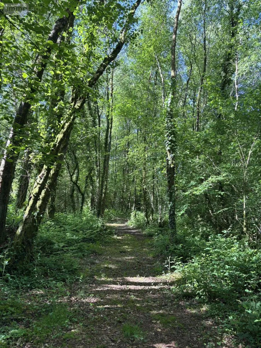 Terrains de loisirs bois etangs a vendre Noues de Sienne 14380 Calvados 14 168800 euros 14076-5956 009
