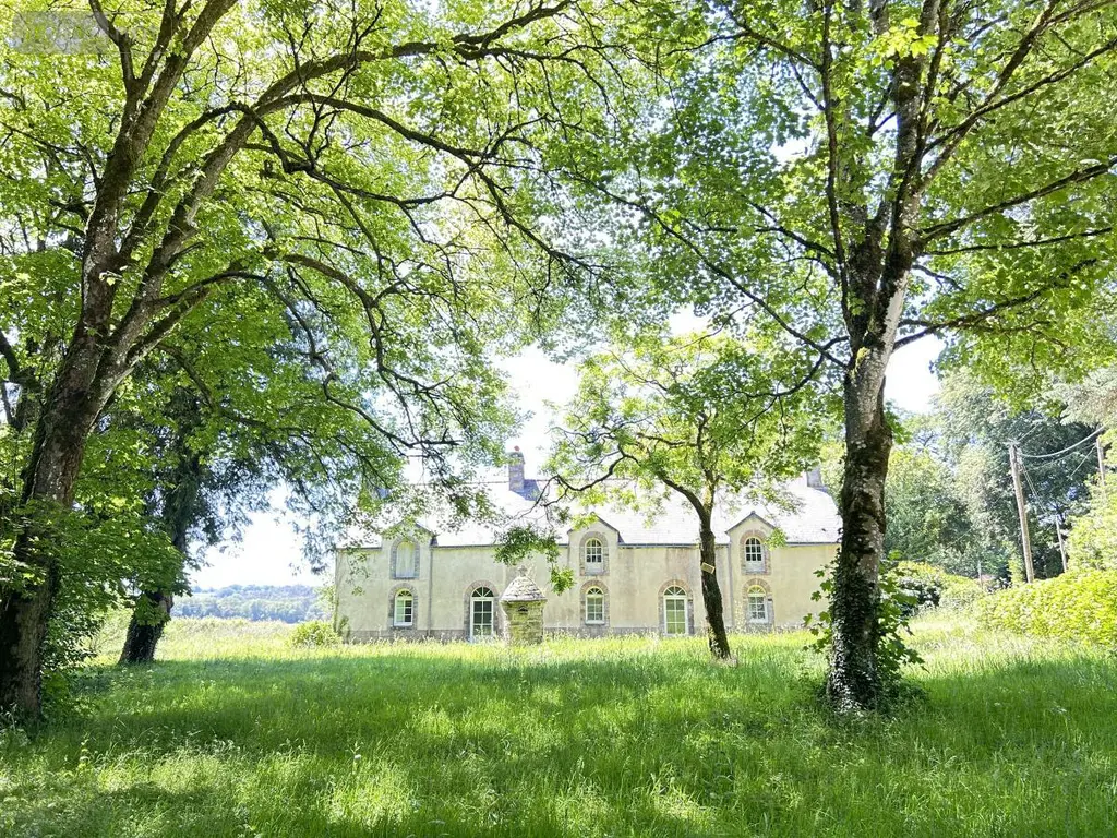 Maison a vendre Carentoir 56910 Morbihan 56 250 m2 8 pièces 161500 euros 56046-1366 003
