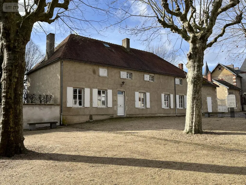 Maison a vendre Broût-Vernet 03110 Allier 03 310 m2 14 pièces 480000 euros 63022-38 025