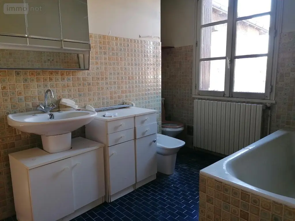 Maison a vendre Le Petit-Pressigny 37350 Indre-et-Loire 37 196 m2 7 pièces 73500 euros 37082-313 009