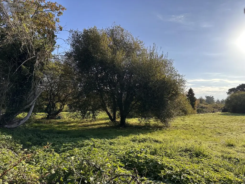 Terrain a batir a vendre Île-d'Arz 56840 Morbihan 56 373540 euros 56003-1351 005