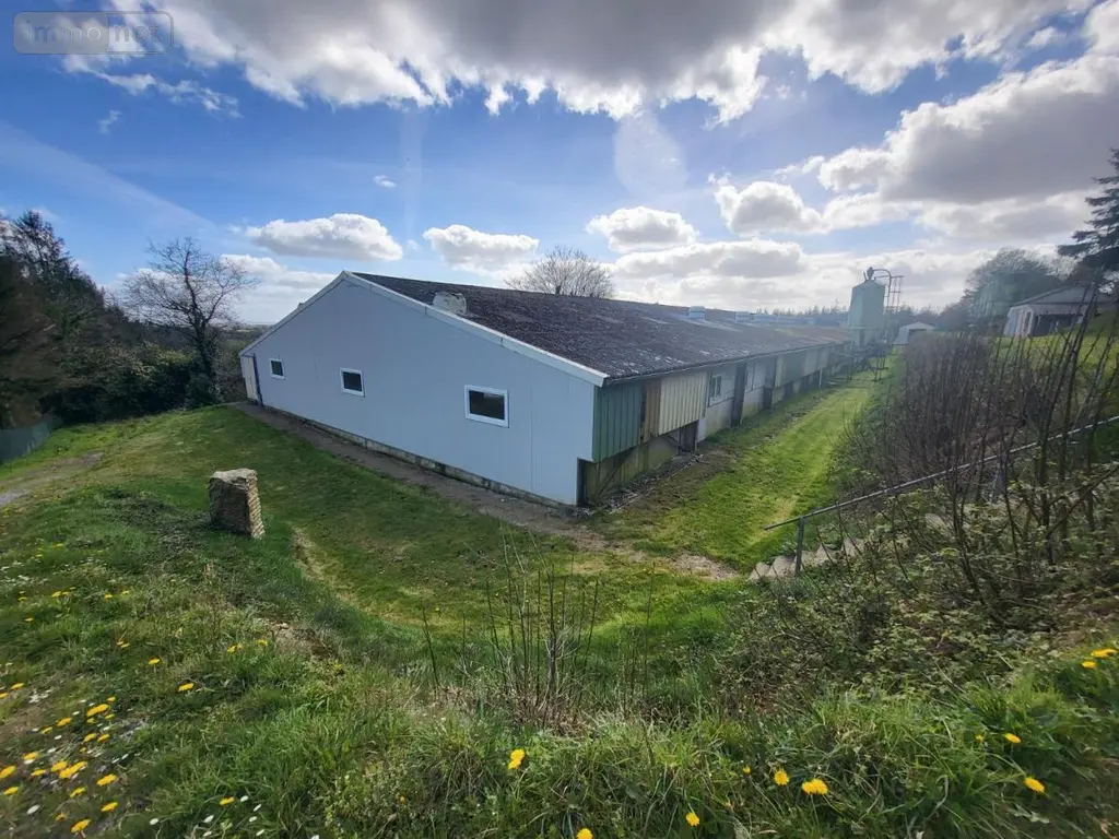 Terrains de loisirs bois etangs a vendre Poullaouen 29246 Finistère 29 157500 euros 29066-3874 013