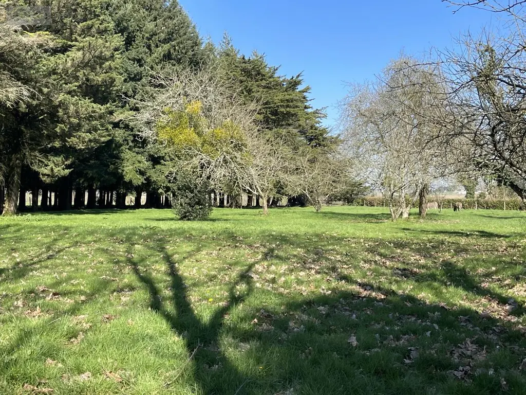 Maison a vendre La Chapelle-Neuve 56500 Morbihan 56 286 m2 8 pièces 571960 euros 56076-1352 015