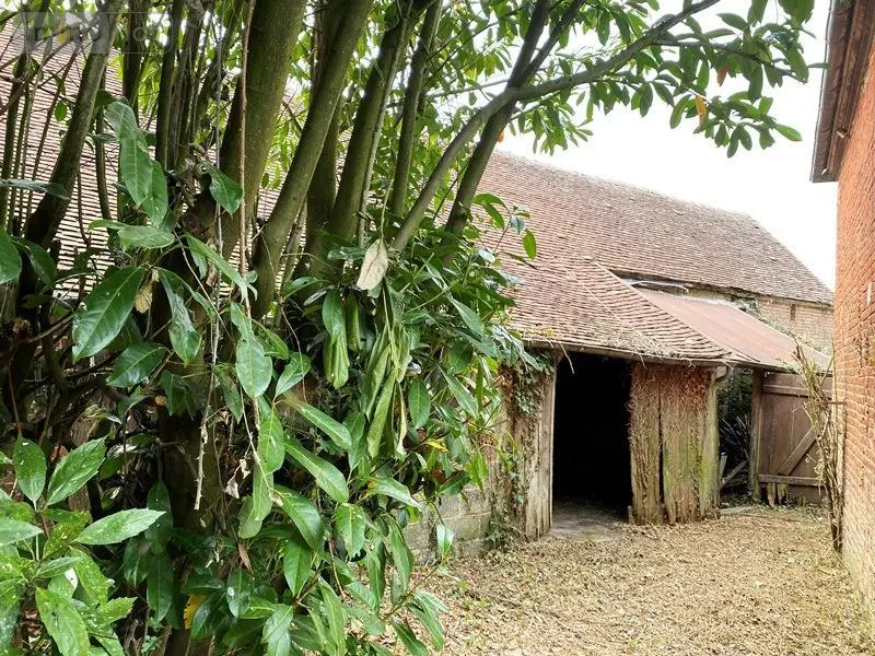 Maison a vendre Rânes 61150 Orne 61 55 m2 3 pièces 48775 euros 61030-1282 009
