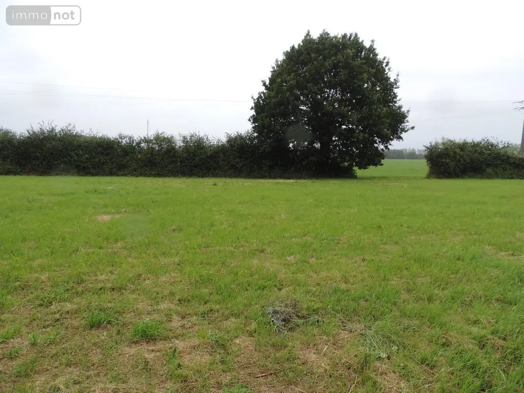 Terrain a batir a vendre Châtres-la-Forêt 53600 Mayenne 53 57970 euros 53078-1918 004