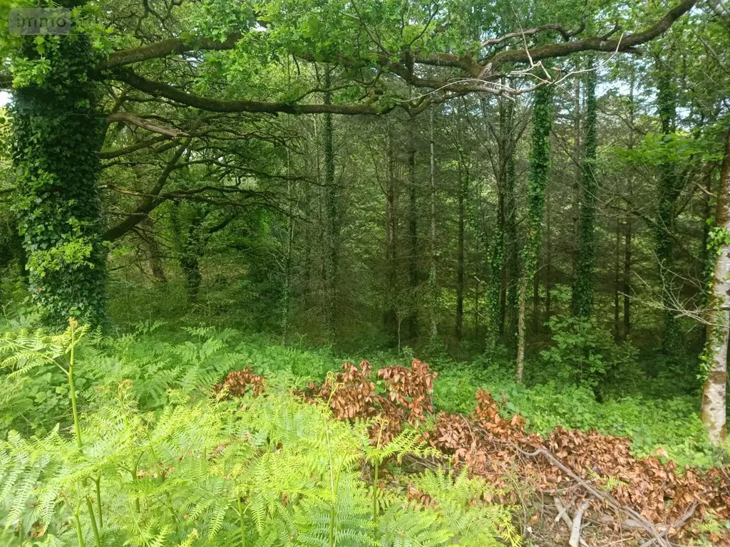 Terrains de loisirs bois etangs a vendre Malguénac 56300 Morbihan 56 6400 euros 56062-2019 003