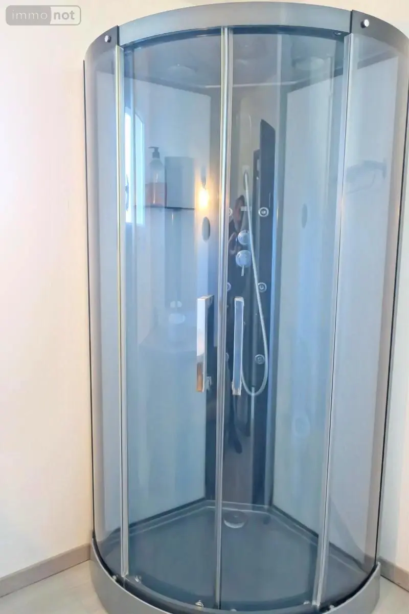 Maison a vendre Saint-Doulchard 18230 Cher 18 139 m2 6 pièces 364000 euros 18005-1676 016