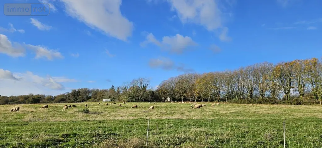 Immeuble de rapport a vendre Tréméoc 29120 Finistère 29 150 m2 367500 euros 29152-119 027