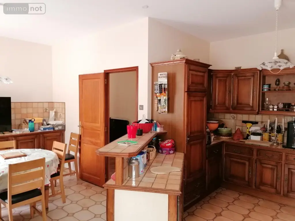 Maison a vendre Marcé-sur-Esves 37160 Indre-et-Loire 37 363 m2 11 pièces 525000 euros 37082-316 003