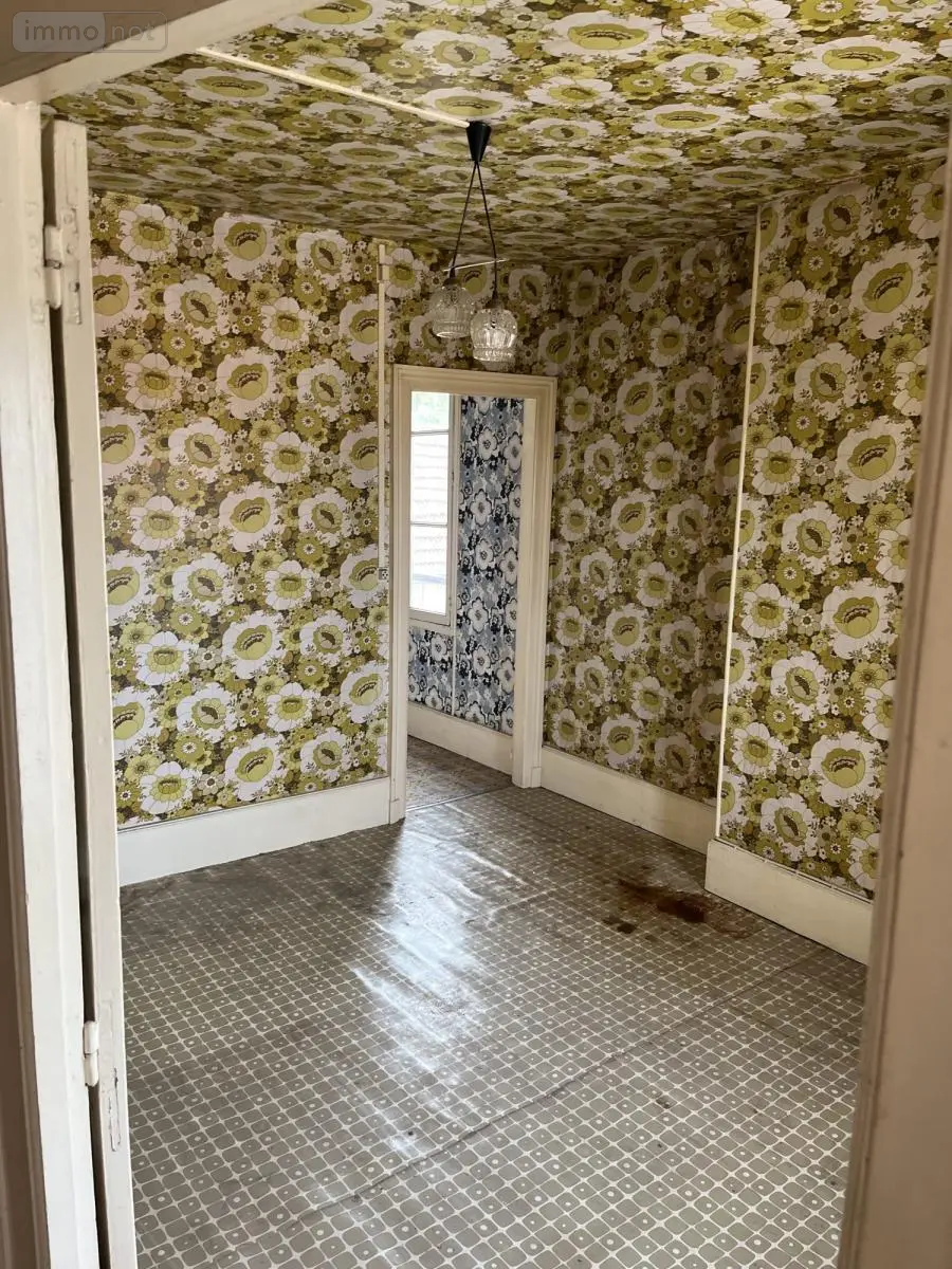 Maison a vendre Avize 51190 Marne 51 81 m2 5 pièces 53000 euros 51022-1270 003