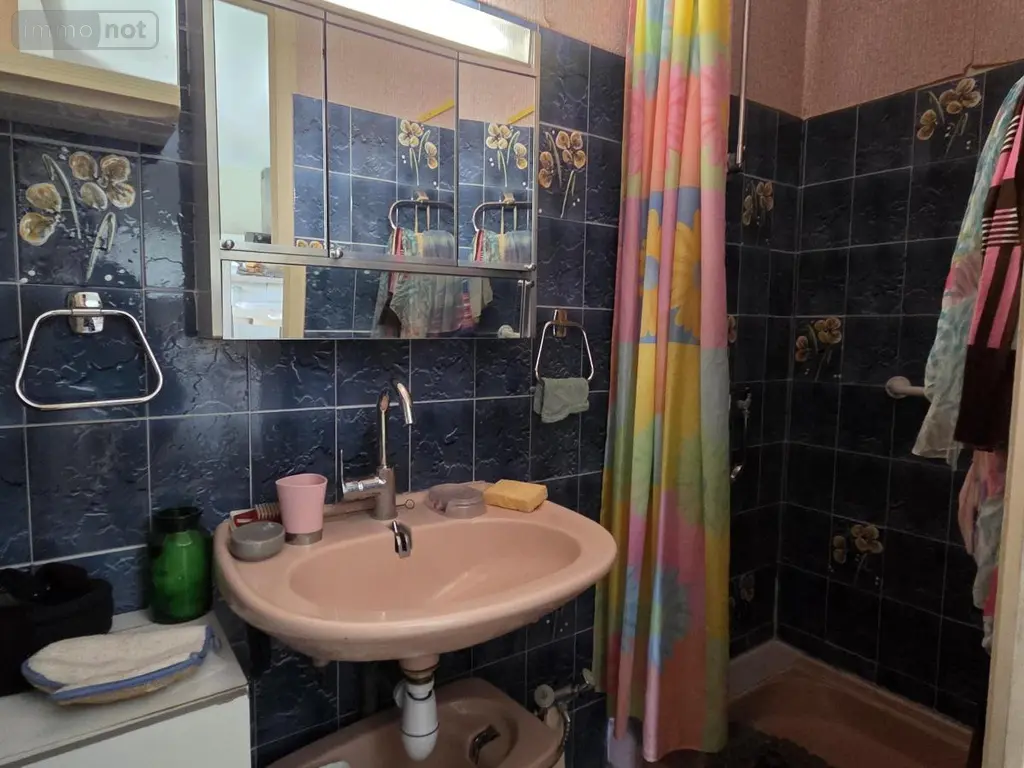 Maison a vendre Azé 53200 Mayenne 53 56 m2 3 pièces 100850 euros 53073-1794 008