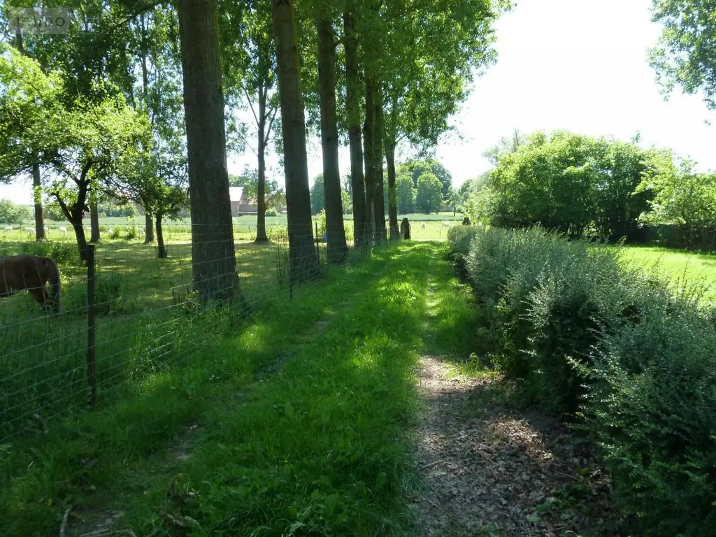 Maison a vendre Honnecourt-sur-Escaut 59266 Nord 59 233 m2 5 pièces 471600 euros 59083-2643 016