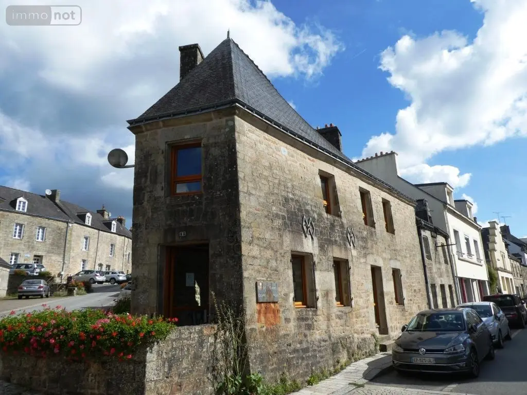 Immeuble de rapport a vendre Guémené-sur-Scorff 56160 Morbihan 56 70 m2 105750 euros 56075-2276 013