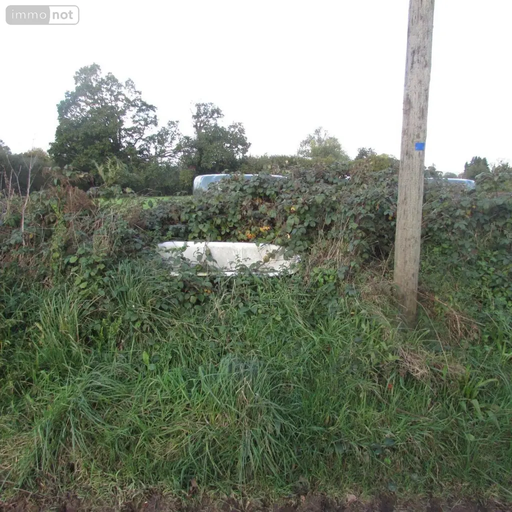 Terrains de loisirs bois etangs a vendre Le Mesnil-Garnier 50450 Manche 50 21800 euros 50038-2604 004