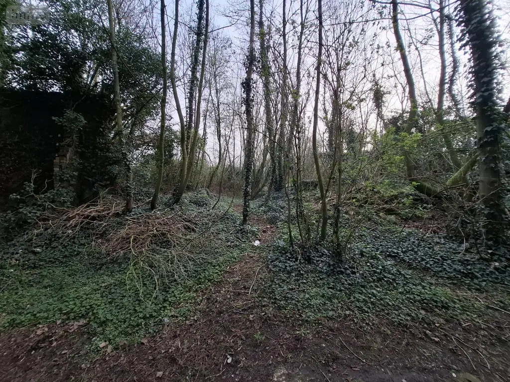 Terrains de loisirs bois etangs a vendre Ames 62190 Pas-de-Calais 62 28000 euros 62050-1772 004