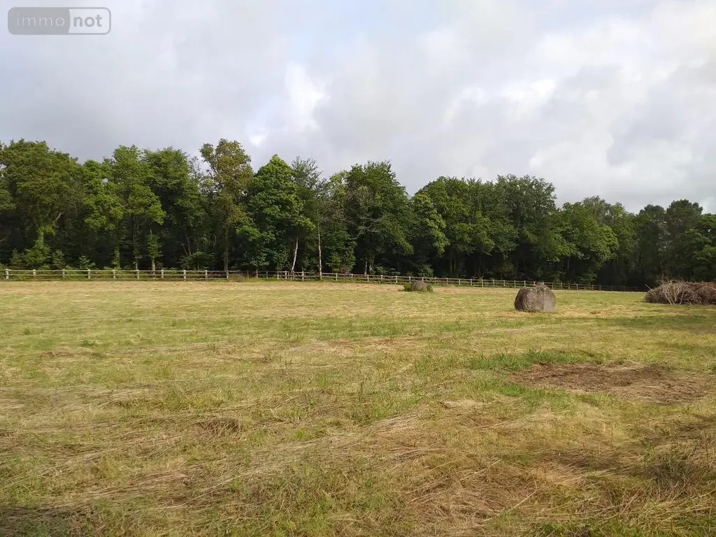 Maison a vendre Moustoir-Ac 56500 Morbihan 56 97 m2 619372 euros 56005-710 024