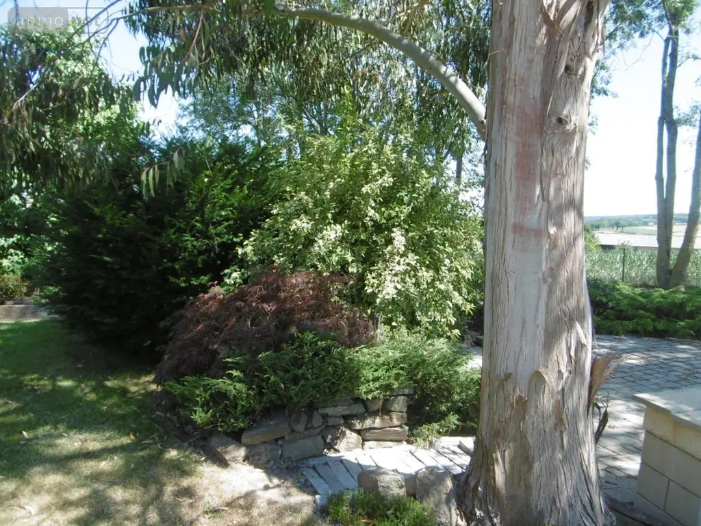 Maison a vendre Saint-Pierre-Tarentaine 14350 Calvados 14 147 m2 7 pièces 422000 euros 14076-5945 025