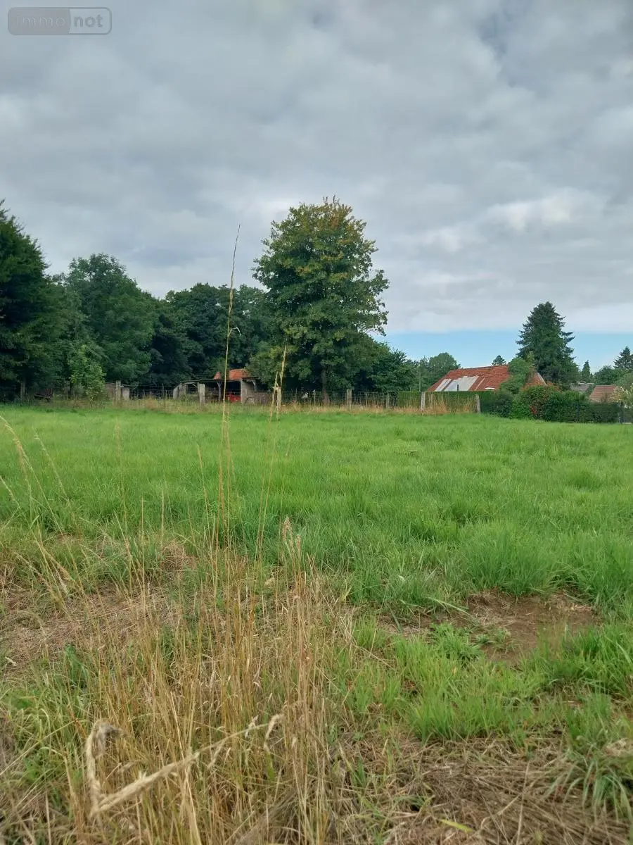 Terrain a batir a vendre Sombrin 62810 Pas-de-Calais 62 58000 euros 62113-1209 002