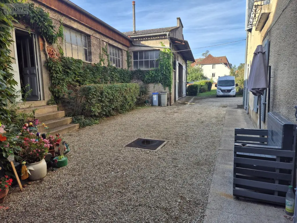 Immeuble de rapport a vendre Fraisans 39700 Jura 39 451 m2 315000 euros 25012-970 007