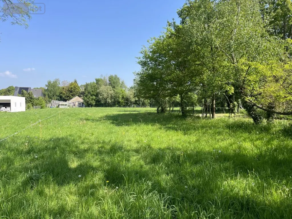 Terrain a batir a vendre Taupont 56800 Morbihan 56 98860 euros 56044-1497 001