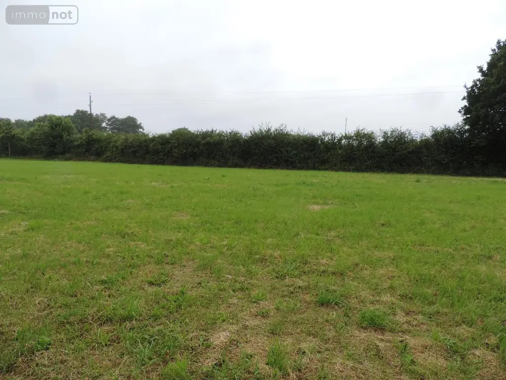Terrain a batir a vendre Châtres-la-Forêt 53600 Mayenne 53 57970 euros 53078-1918 003