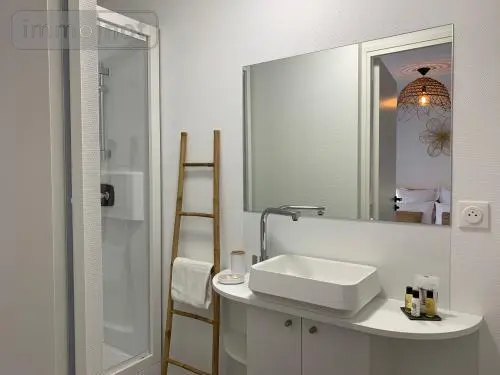 Immeuble de rapport a vendre Angers 49100 Maine-et-Loire 49 95 m2 576400 euros 49009-1427 012