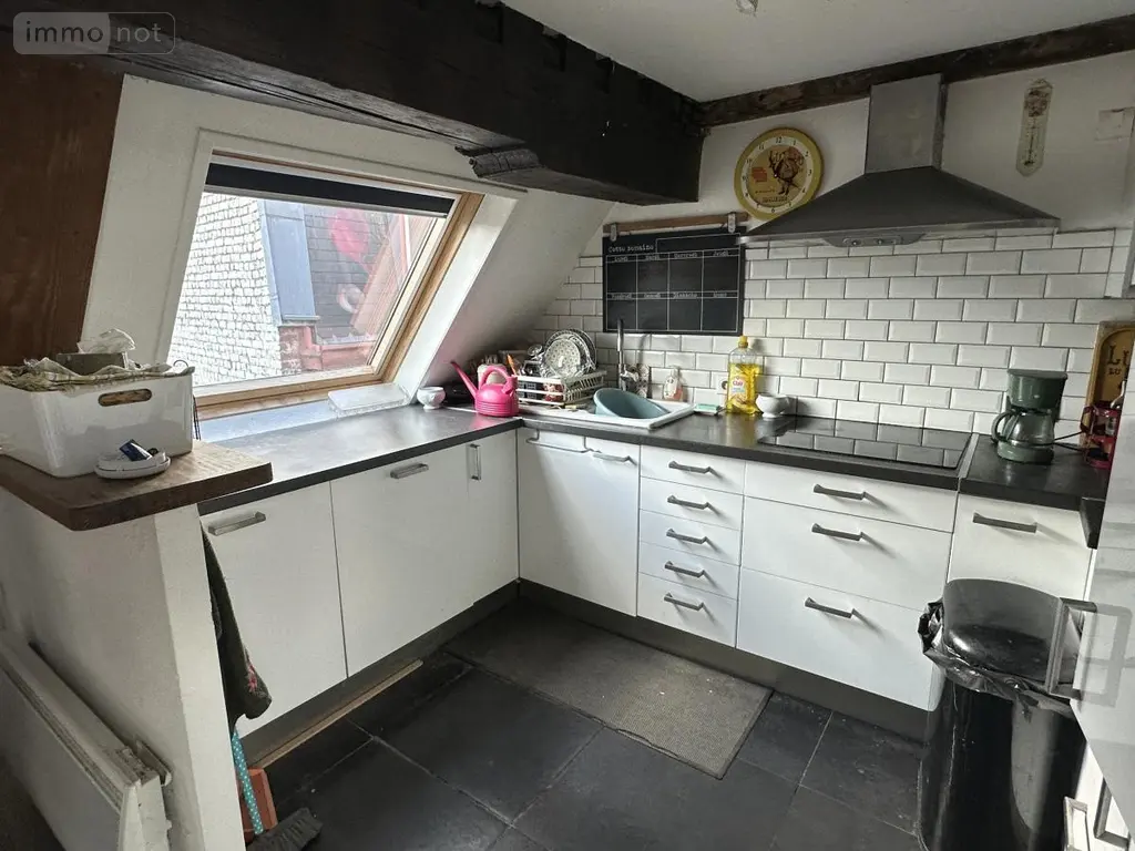 Appartement a vendre Lille 59800 Nord 59 83 m2 4 pièces 416000 euros 59017-2030 003