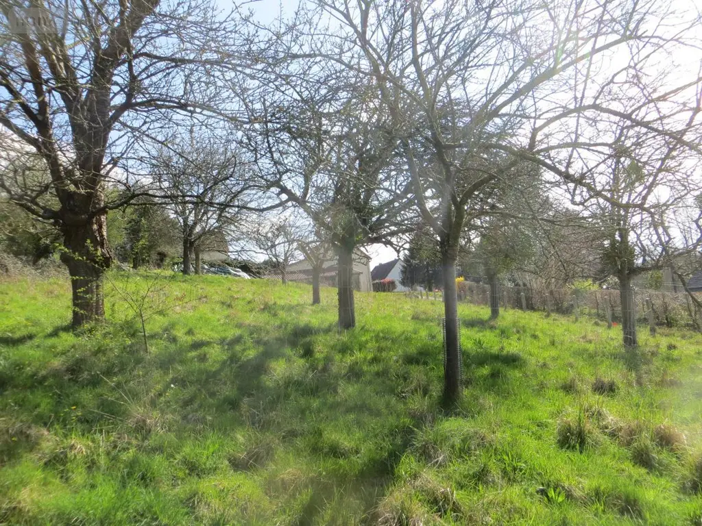Terrain a batir a vendre Roullours 14500 Calvados 14 38000 euros 14076-4986 001