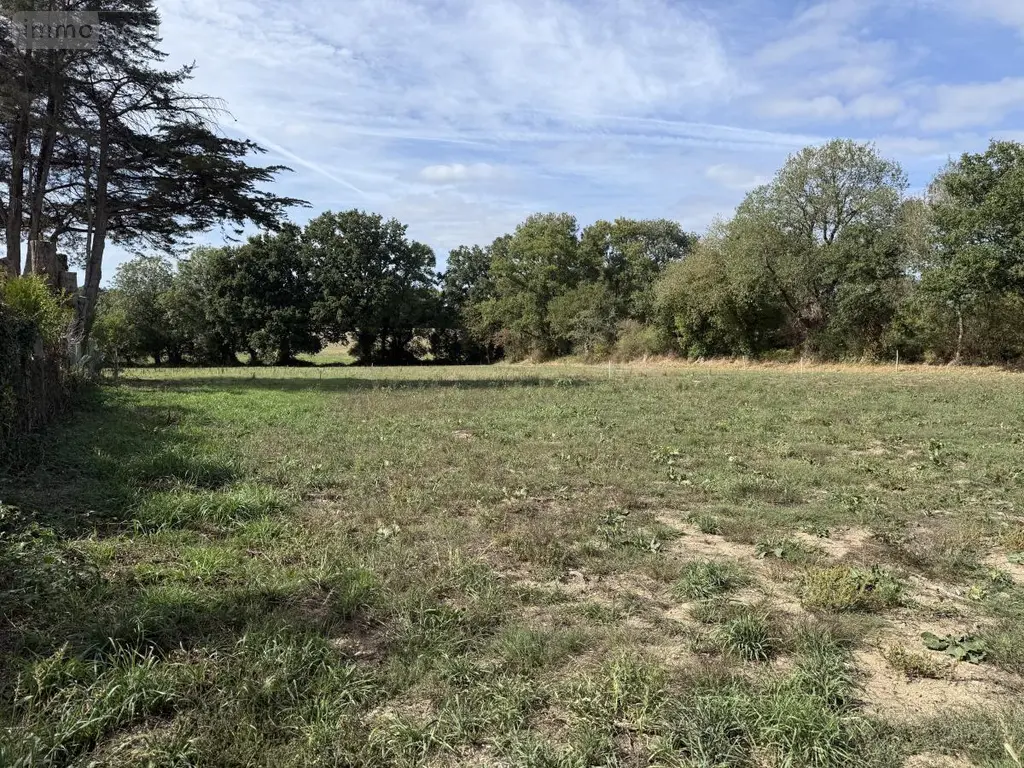 Terrain a batir a vendre Berric 56230 Morbihan 56 207900 euros 56084-498 002